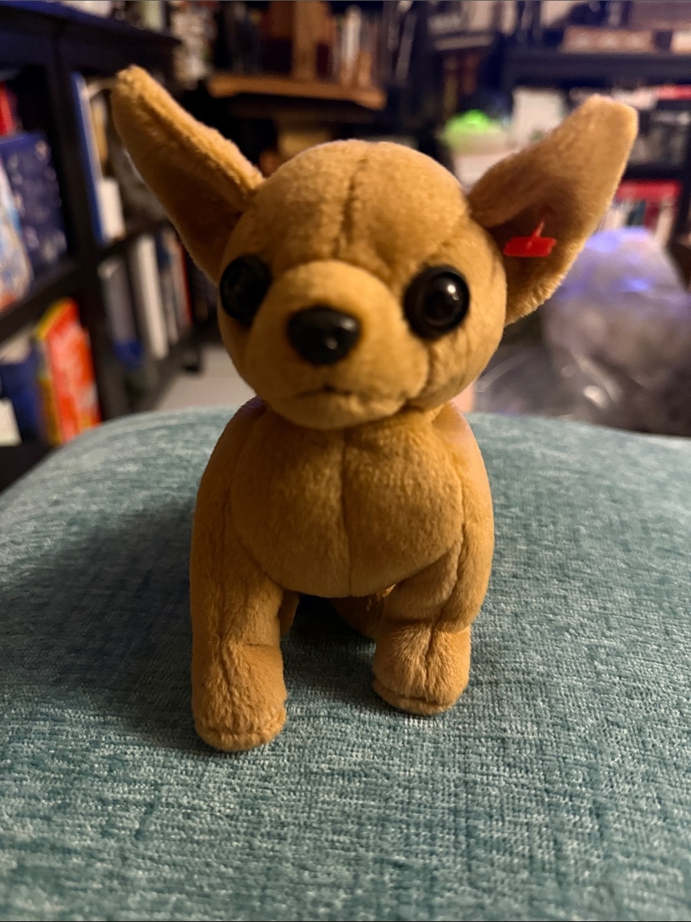 TY Beanie Baby Tiny the Chihuahua Dog 1998 Retired Plush Toy